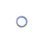 Rancilio - Element Gasket image