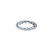 Rancilio - Outer Toothed Washer D16 image