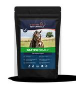 Premier Performance GastroPremier 30 Servings image