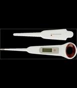 Digital Thermometer for horses image