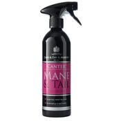 Carr &amp; Day &amp; Martin Mane &amp; Tail Conditioner image