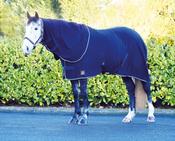 Mackey Liffey Dry Rug image