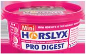 Horslyx Pro Digest Balancer