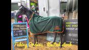 Horseware Amigo® Jersey Cooler - Very Limited Edition - Bray Harriers Hunt 6'6" Only image
