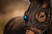 Equilume Light Mask