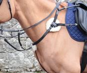 Mackey Classic 5-Point Breastplate