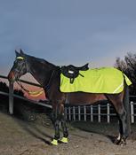 Hi-Viz Exercise Sheet