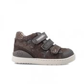 Biomecanics  Grey