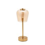 Bronze USB LED Touch Table Lamp - Glass Shade