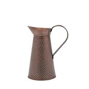 Country Living Watering Can - Jug Style image