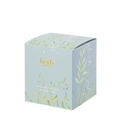 Herb Dublin Atlantic Seasalt -Jar Candle