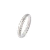 Knight &amp; Day Novalee 12mm Silver Bangle image