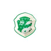 Wizarding World of Harry Potter Slytherin Trinket Dish