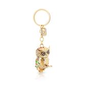 Tipperary Owl Keyring