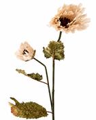 Faux Vintage Poppy Bloom - Nude