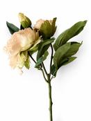 Faux Full Bloom Ella Peony - Nude