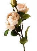 Faux Vintage Rose Spray  - Nude image