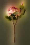 Faux Full Bloom Double Peony - Dusky Pink