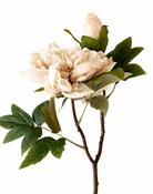 Faux Full Bloom Double Peony  - Nude