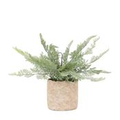 Faux Potted Fern 35cm