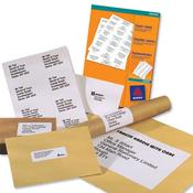 Avery White Copier Labels 10 per Sheet 105x57mm White 1000 Labels Ref 3425 image