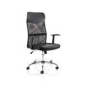 Vegalite Executive Mesh Back Office Chair With Arms image