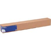 Epson - Glossy - Roll (91.4 cm x 30.5 m) - 250 g/m² - 1 roll(s) photo paper - for Stylus Pro 4000, Pro 7600, Pro 9600, Pro 9700, Pro 98XX; SureColor SC-T5000, T5200, T7200