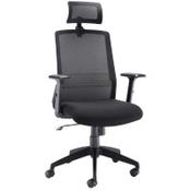 Denali High-Back Ergonomic Office Posture Chair - Black Mesh - Lumbar Support - Headrest image