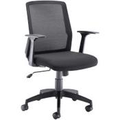 Denali Mid-Back Ergonomic Office Posture Chair - Lumbar Support - Black image
