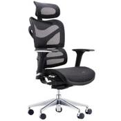 Dorsum Executive Ergonomic Mesh Posture Office Chair - Adjustable Headrest - Adjustable Lumbar Support - Modern Design - Black image