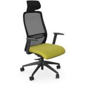 NV Ergonomic Posture Office Chair  - Contoured Breathable Mesh Back  - Headrest  - Adjustable Lumbar Support  - Black Frame - Green Seat image
