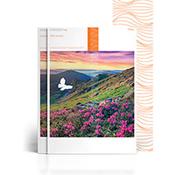 Cocoon Silk 60% Recycled Fsc4 460x320 350gsm Untrimmed Commercial Printing Paper Ream of 200 image