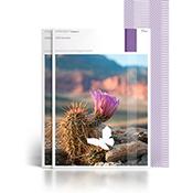 Cocoon Pre-Print 100% Recycled Fsc8 SRA2 450 X 640mm 120gsm Untrimmed Commercial Printing Paper Pack of 14000 image