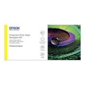 Epson Production - Polyethylene (PE) - semi-glossy - microporous - 200 micron - Roll (60.96 cm x 30 m) - 200 g/m² - 1 roll(s) photo paper - for SureColor P10000, P20000, SC-P10000, P20000, P6000, P7000, P7500, P8000, P9000, T7200 image
