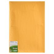 Premail Size L Padded Envelope - Great for Shipping Fragile Items