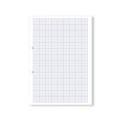 Hamelin Loose Leaf Graph Paper 20mm 1000 Page Punched 2 Hole A4 (Pack of 5) 100104521 image
