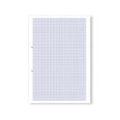 Hamelin Loose Leaf Graph Paper 10mm 1000 Page Punched 2 Hole A4 (Pack of 5) 100104375 image