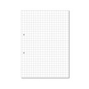 Hamelin Loose Leaf Paper 10mm Squared 1000 Page Punched 2 Hole A4 (Pack of 5) 100104180 image