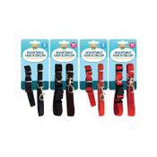 Dog Lead and Collar Small and Medium x2 Assorted Pack of 12 313599 image