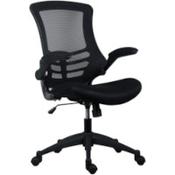 Deluxe Executive High Back Mesh Office Chair - Fold-Up Armrests - Tilt Back - Adjustable Padded Seat - Black - Ergonomic Comfort for Workspaces image