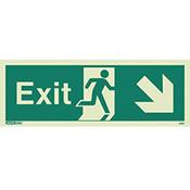 Photoluminescent Exit Sign Exit Arrow Down Right HxW 200X450mm image