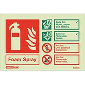 Photoluminescent Rigid Plastic Sign 100X150mm Fire Extinguisher Foam Spray