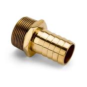 Brass Hosetail
