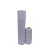 2Work 2Ply Hygne Roll Blu 10In Pk24