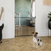 DogSpace Molly Flexible Dog Gate, Black (67-105.5cm)