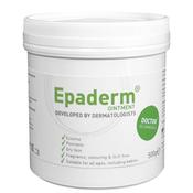 Epaderm Ointment Tub 500g image