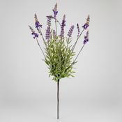 Lavender Bush