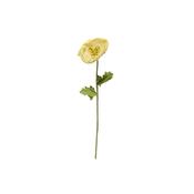 Yellow Cato Flower