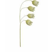 Cain Flower