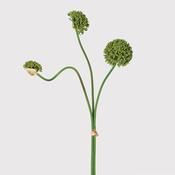 Faux Alium Spray